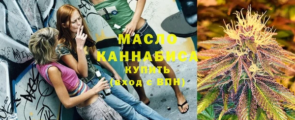 гидра Надым