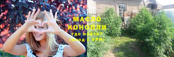 гидра Надым