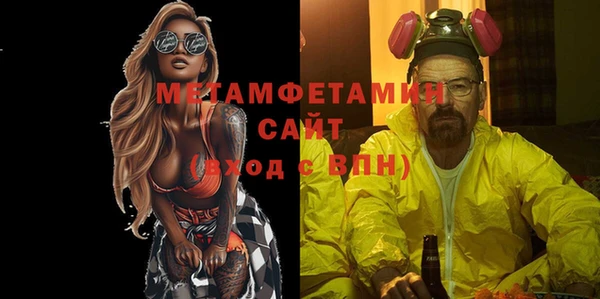 гидра Надым