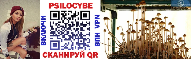 как найти наркотики  Талдом  Галлюциногенные грибы ЛСД 